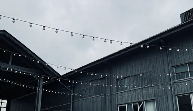 常德网站建设：行业动态下的信息管理新趋势